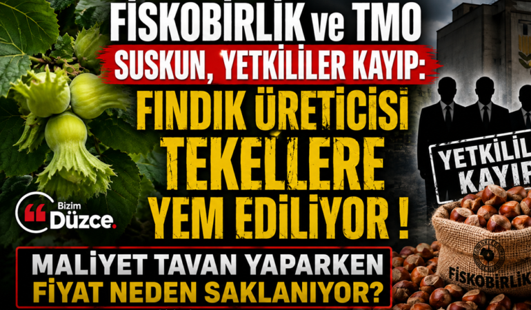 Fındık Üreticisi'nin Çığlığı Kim Duyacak?