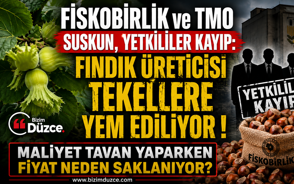Fındık Üreticisi'nin Çığlığı Kim Duyacak?