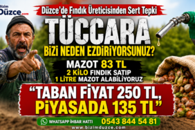 Düzce’de Fındık Üreticisi İsyan Etti: "Kazanan Biz Değil Fırsatçı Tüccarlar"
