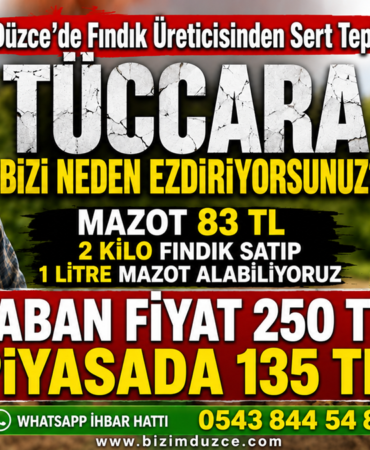 Düzce’de Fındık Üreticisi İsyan Etti: "Kazanan Biz Değil Fırsatçı Tüccarlar"
