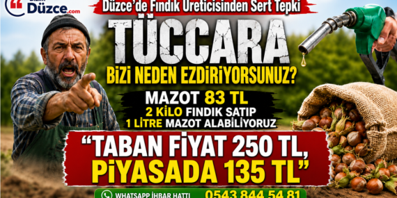 Düzce’de Fındık Üreticisi İsyan Etti: "Kazanan Biz Değil Fırsatçı Tüccarlar"
