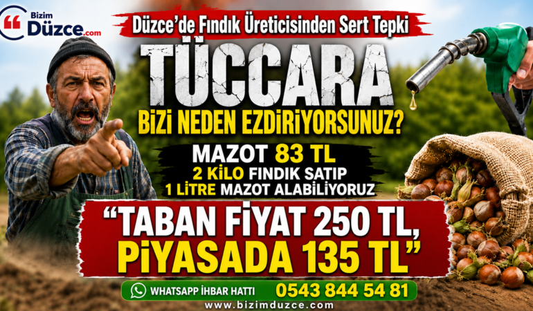 Düzce’de Fındık Üreticisi İsyan Etti: "Kazanan Biz Değil Fırsatçı Tüccarlar"