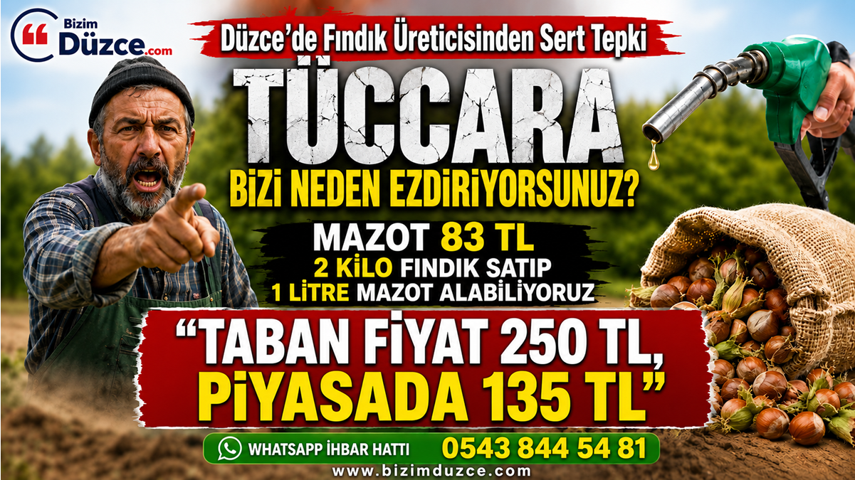 Düzce’de Fındık Üreticisi İsyan Etti: "Kazanan Biz Değil Fırsatçı Tüccarlar"