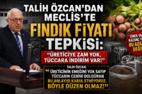 TALİH ÖZCAN’DAN MECLİS’TE FINDIK FİYATI TEPKİSİ: