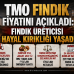 TMO Fındık Fiyatını Açıkladı: Fındık Üreticisi Hayal Kırıklığı Yaşadı TMO Fındık Fiyatını Açıkladı: Fındık Üreticisi Hayal Kırıklığı Yaşadı