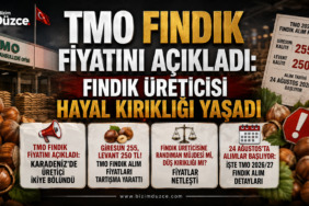 TMO Fındık Fiyatını Açıkladı: Fındık Üreticisi Hayal Kırıklığı Yaşadı TMO Fındık Fiyatını Açıkladı: Fındık Üreticisi Hayal Kırıklığı Yaşadı