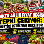 FINDIK TÜCCARLARINI DENETİM VE KONTROL ÇAĞRISI