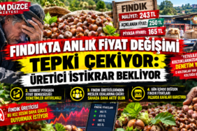 FINDIK TÜCCARLARINI DENETİM VE KONTROL ÇAĞRISI FINDIK TÜCCARLARINI DENETİM VE KONTROL ÇAĞRISI