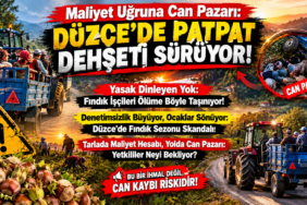 BİZİM DÜZCE ÖZEL HABER: TARLALARDA MALİYET HESABI, YOLLARDA CAN PAZARI!