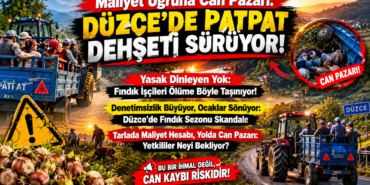 BİZİM DÜZCE ÖZEL HABER: TARLALARDA MALİYET HESABI, YOLLARDA CAN PAZARI! BİZİM DÜZCE ÖZEL HABER: TARLALARDA MALİYET HESABI, YOLLARDA CAN PAZARI!