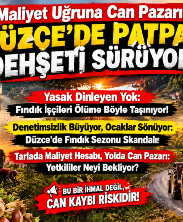 BİZİM DÜZCE ÖZEL HABER: TARLALARDA MALİYET HESABI, YOLLARDA CAN PAZARI! BİZİM DÜZCE ÖZEL HABER: TARLALARDA MALİYET HESABI, YOLLARDA CAN PAZARI!
