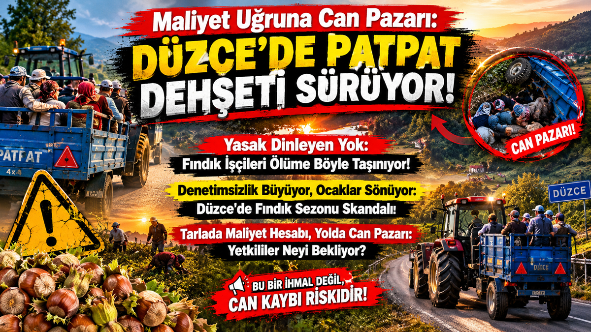 BİZİM DÜZCE ÖZEL HABER: TARLALARDA MALİYET HESABI, YOLLARDA CAN PAZARI! BİZİM DÜZCE ÖZEL HABER: TARLALARDA MALİYET HESABI, YOLLARDA CAN PAZARI!