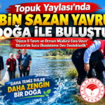 Topuk Yaylası Göleti’nde 25 Bin Sazan Yavrusu Suya Bırakıldı: