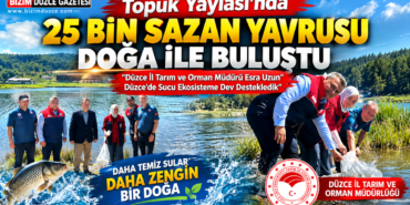 Topuk Yaylası Göleti’nde 25 Bin Sazan Yavrusu Suya Bırakıldı: