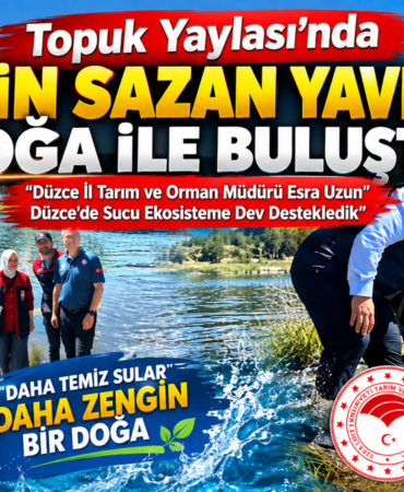 Topuk Yaylası Göleti’nde 25 Bin Sazan Yavrusu Suya Bırakıldı: Topuk Yaylası Göleti’nde 25 Bin Sazan Yavrusu Suya Bırakıldı: