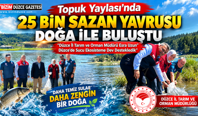 Topuk Yaylası Göleti’nde 25 Bin Sazan Yavrusu Suya Bırakıldı: Topuk Yaylası Göleti’nde 25 Bin Sazan Yavrusu Suya Bırakıldı: