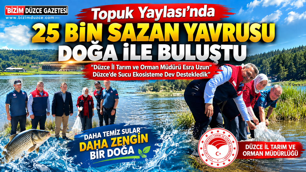 Topuk Yaylası Göleti’nde 25 Bin Sazan Yavrusu Suya Bırakıldı: Topuk Yaylası Göleti’nde 25 Bin Sazan Yavrusu Suya Bırakıldı: