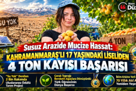 17 Yaşındaki Liseliden 4 Ton Kayısı Başarısı 17 Yaşındaki Liseliden 4 Ton Kayısı Başarısı