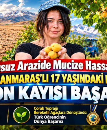 17 Yaşındaki Liseliden 4 Ton Kayısı Başarısı 17 Yaşındaki Liseliden 4 Ton Kayısı Başarısı