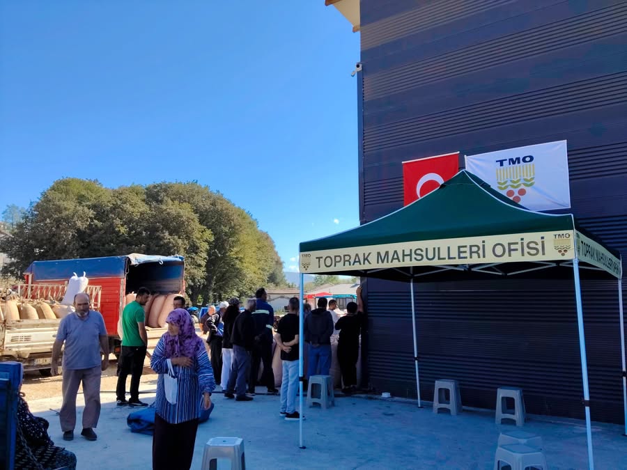 YIĞILCA’DA TMO FINDIK ALIMINDA CEZA GİBİ UYGULAMA TEK NUMUNECİ