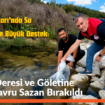 Adapazarı'nda Su Ekosistemine Büyük Destek: Adapazarı'nda Su Ekosistemine Büyük Destek: