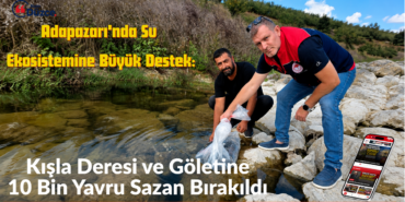 Adapazarı'nda Su Ekosistemine Büyük Destek: