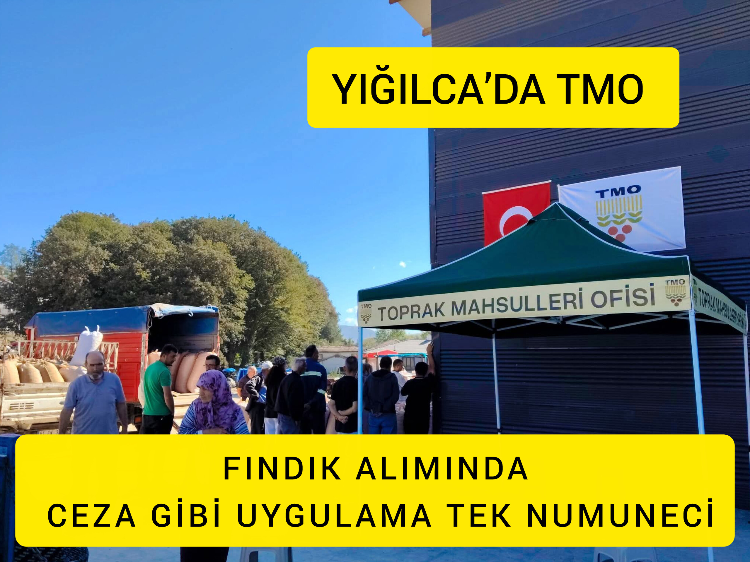 YIĞILCA’DA TMO FINDIK ALIMINDA CEZA GİBİ UYGULAMA TEK NUMUNECİ YIĞILCA’DA TMO FINDIK ALIMINDA CEZA GİBİ UYGULAMA TEK NUMUNECİ