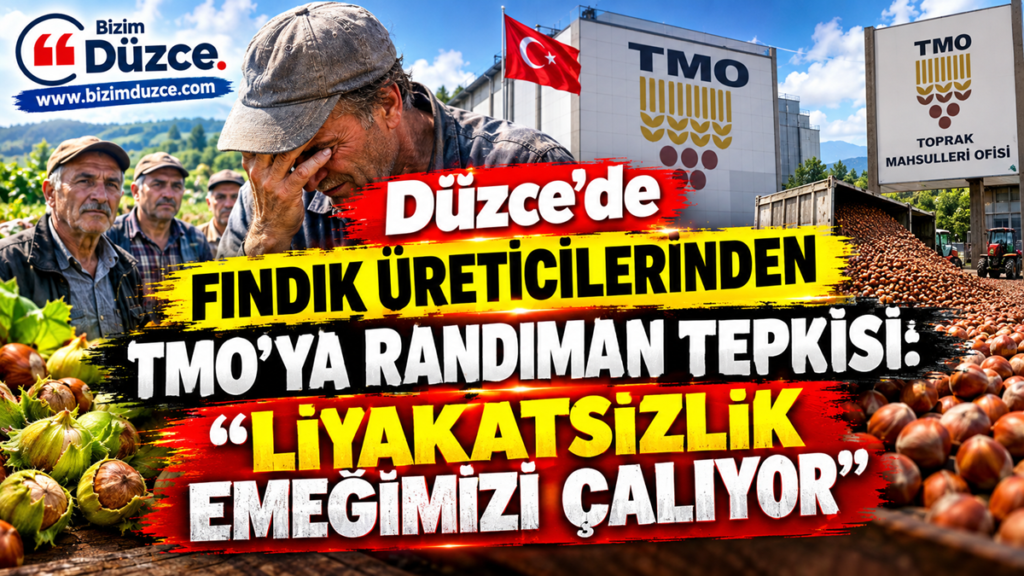 Düzce’de Fındık Üreticilerinden TMO’ya Randıman Tepkisi:
