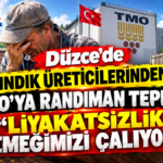 Düzce’de Fındık Üreticilerinden TMO’ya Randıman Tepkisi: