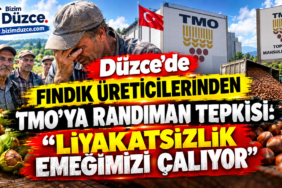 Düzce’de Fındık Üreticilerinden TMO’ya Randıman Tepkisi: Düzce’de Fındık Üreticilerinden TMO’ya Randıman Tepkisi: