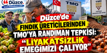Düzce’de Fındık Üreticilerinden TMO’ya Randıman Tepkisi: Düzce’de Fındık Üreticilerinden TMO’ya Randıman Tepkisi: