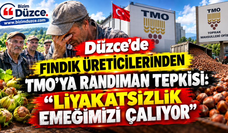 Düzce’de Fındık Üreticilerinden TMO’ya Randıman Tepkisi: Düzce’de Fındık Üreticilerinden TMO’ya Randıman Tepkisi: