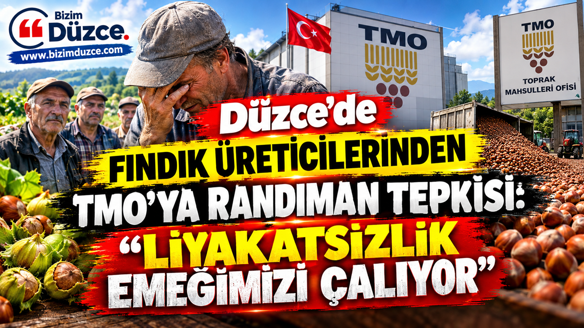 Düzce’de Fındık Üreticilerinden TMO’ya Randıman Tepkisi: Düzce’de Fındık Üreticilerinden TMO’ya Randıman Tepkisi: