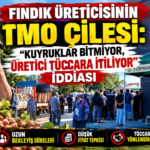 Fındık Üreticisinin TMO Çilesi: Fındık Üreticisinin TMO Çilesi: