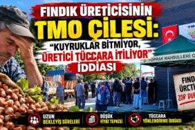 Fındık Üreticisinin TMO Çilesi: Fındık Üreticisinin TMO Çilesi: