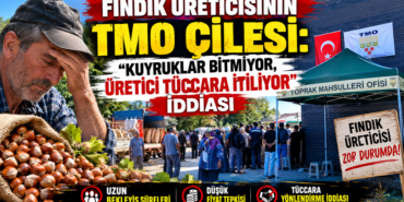 Fındık Üreticisinin TMO Çilesi: Fındık Üreticisinin TMO Çilesi: