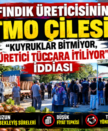 Fındık Üreticisinin TMO Çilesi: Fındık Üreticisinin TMO Çilesi: