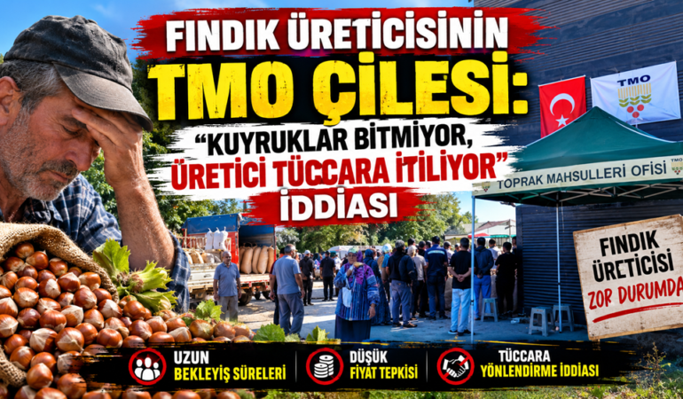 Fındık Üreticisinin TMO Çilesi:
