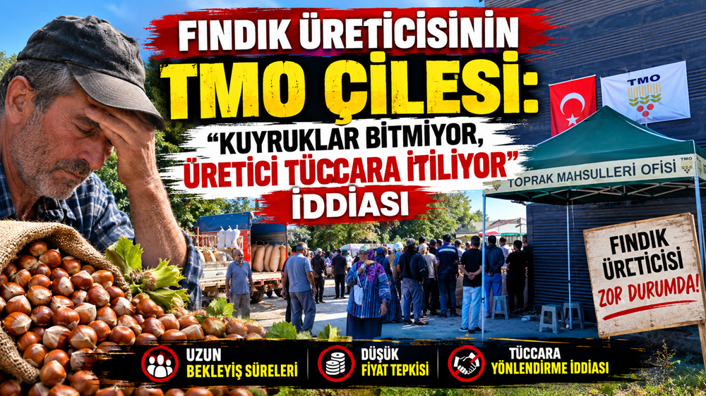 Fındık Üreticisinin TMO Çilesi: