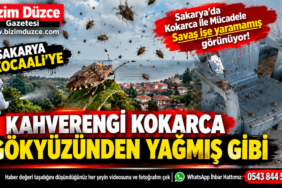 Mücadele Yetersiz Kaldı: Kocaali Kokarcaya Teslim