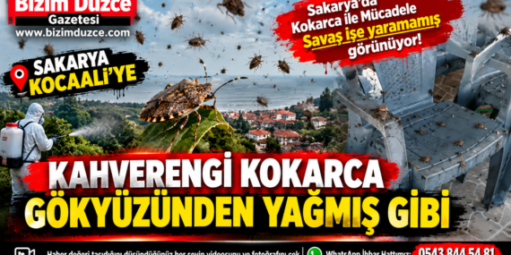 Mücadele Yetersiz Kaldı: Kocaali Kokarcaya Teslim