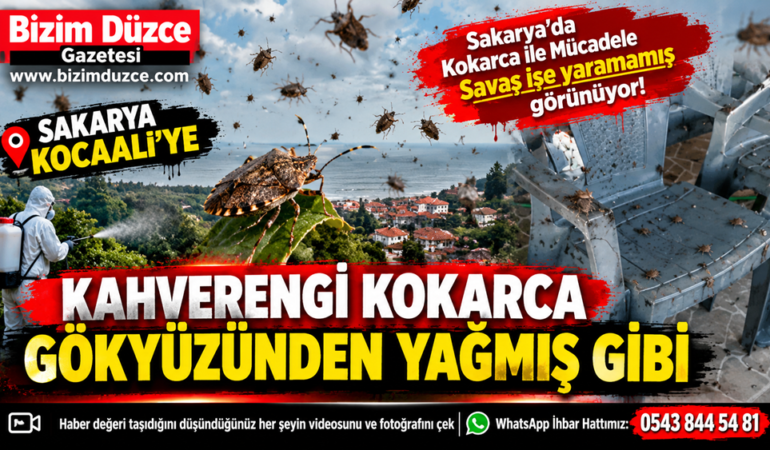 Mücadele Yetersiz Kaldı: Kocaali Kokarcaya Teslim