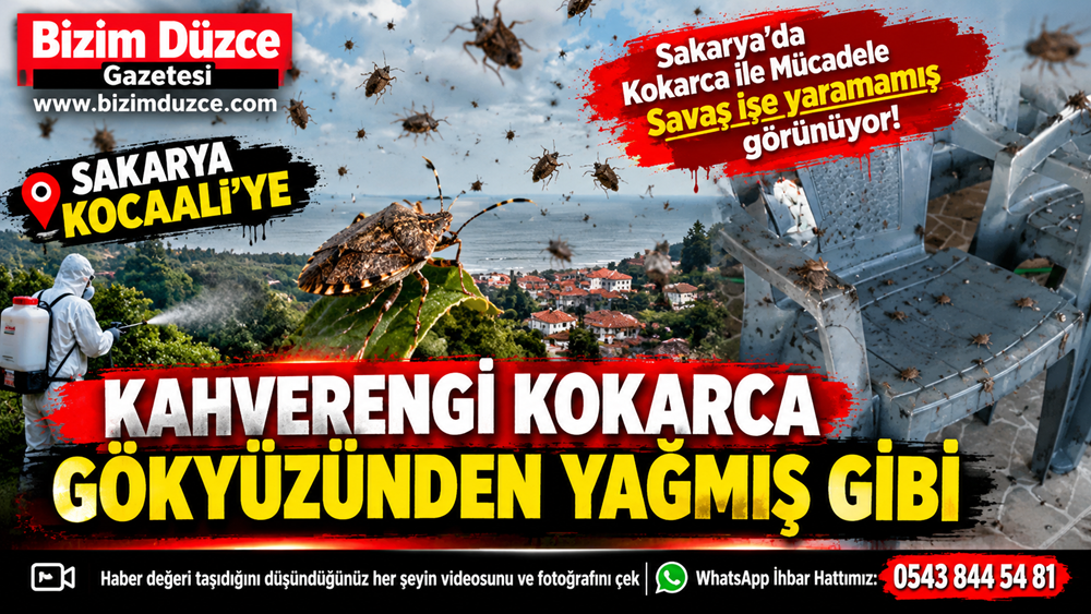 Mücadele Yetersiz Kaldı: Kocaali Kokarcaya Teslim