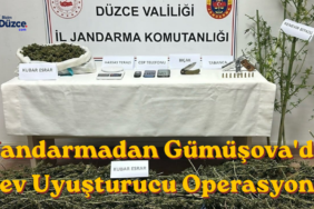 Jandarmadan Gümüşova'da Zehir Tacirlerine Operasyon!