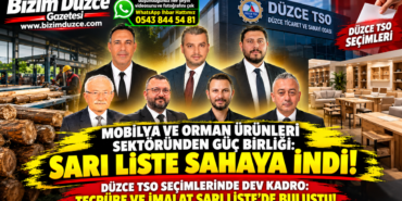 MOBİLYA VE ORMAN ÜRÜNLERİ SEKTÖRÜNDE GÜÇ BİRLİĞİ