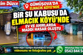 ELMACIK KÖYÜNDE EV VE AHIRLARA SU BASKINI