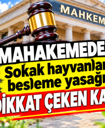 MAHKEMEDEN SOKAK HAYVANLARI İÇİN EMSAL KARAR: