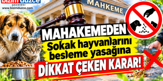 MAHKEMEDEN SOKAK HAYVANLARI İÇİN EMSAL KARAR:
