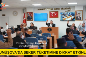 Düzce Belediye Meclisi Ekim 30 gündem maddesi görüşüldü.