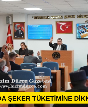Düzce Belediye Meclisi Ekim 30 gündem maddesi görüşüldü.